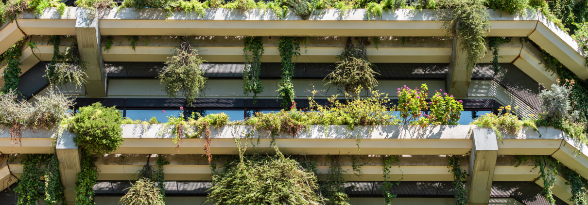 Building with green plants