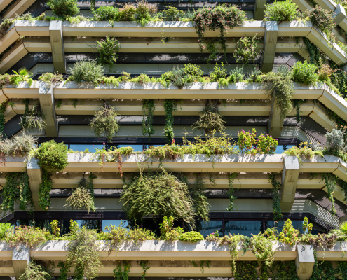 Building with green plants