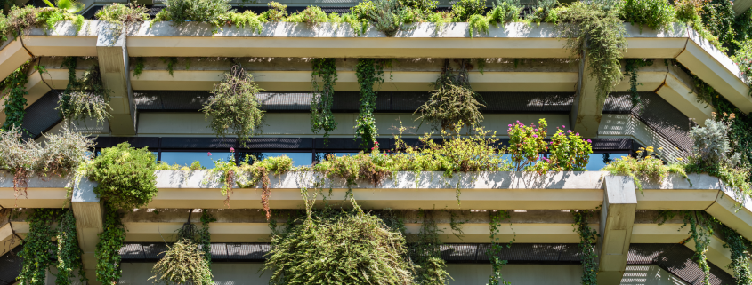 Building with green plants